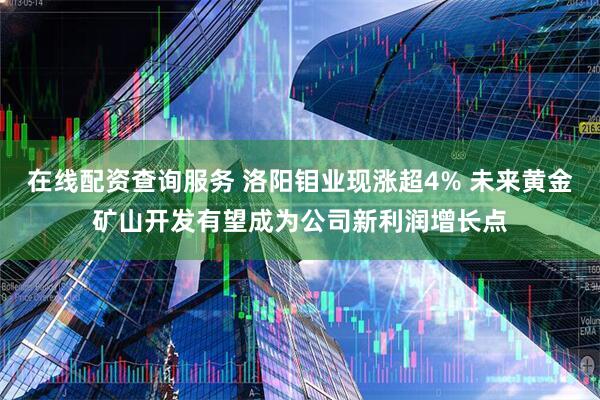 在线配资查询服务 洛阳钼业现涨超4% 未来黄金矿山开发有望成为公司新利润增长点
